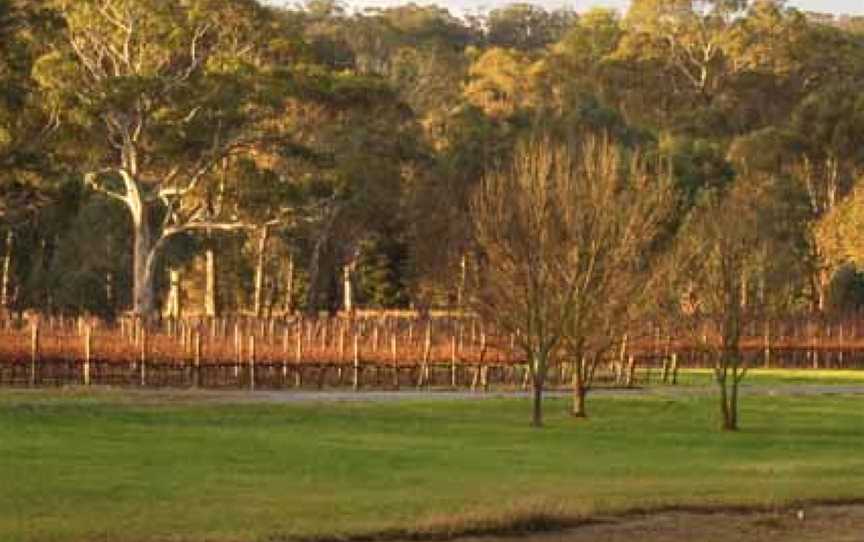 Top Note, Kuitpo, South Australia