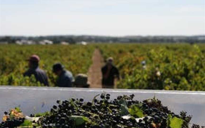 Troll Creek Wines, Bethany, South Australia