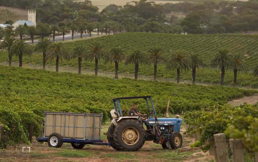 Tscharke, Wineries in Marananga