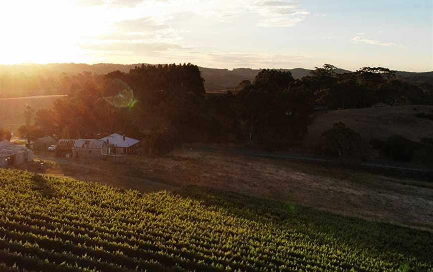 Vinteloper, Hay Valley, South Australia