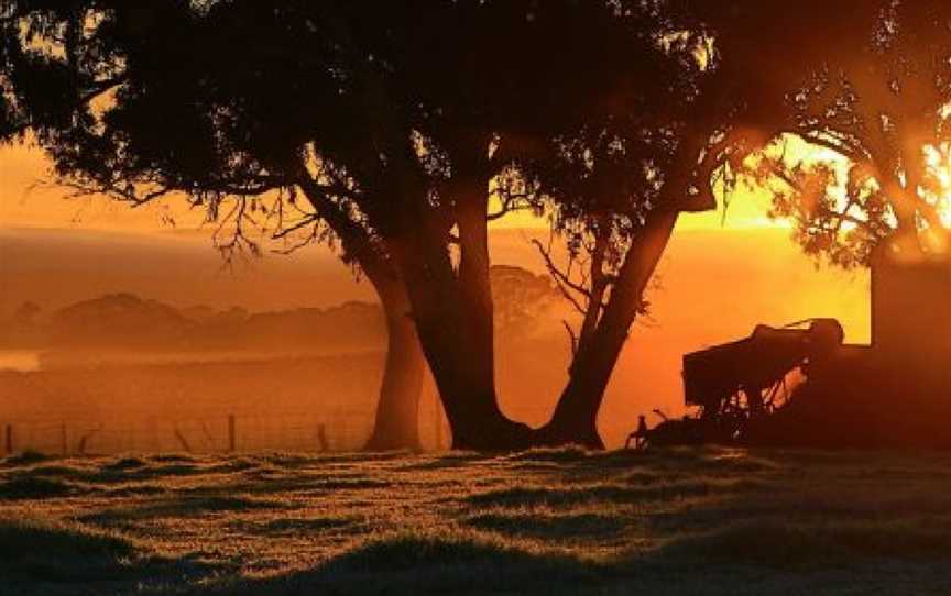 Westlake Vineyards, Koonunga, South Australia