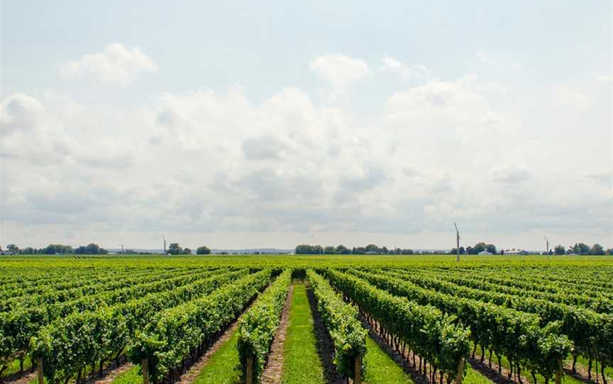 Whistle Post Cellar Door, Wineries in Coonawarra