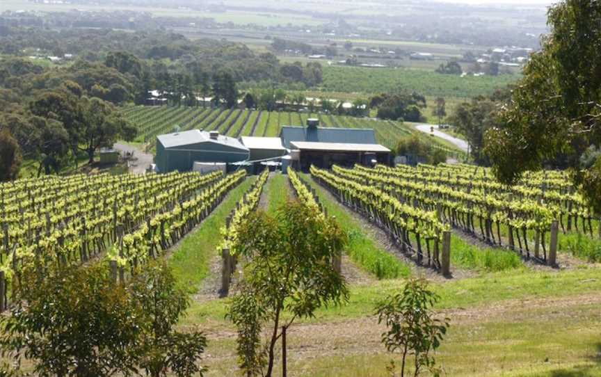 Willunga Creek Wines, Wineries in Willunga