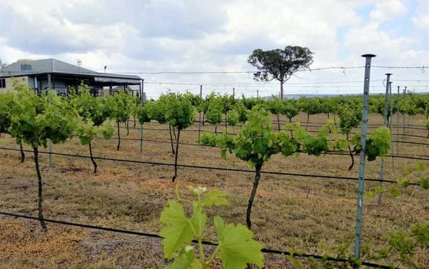 Barambah Cellars, Redgate, Queensland