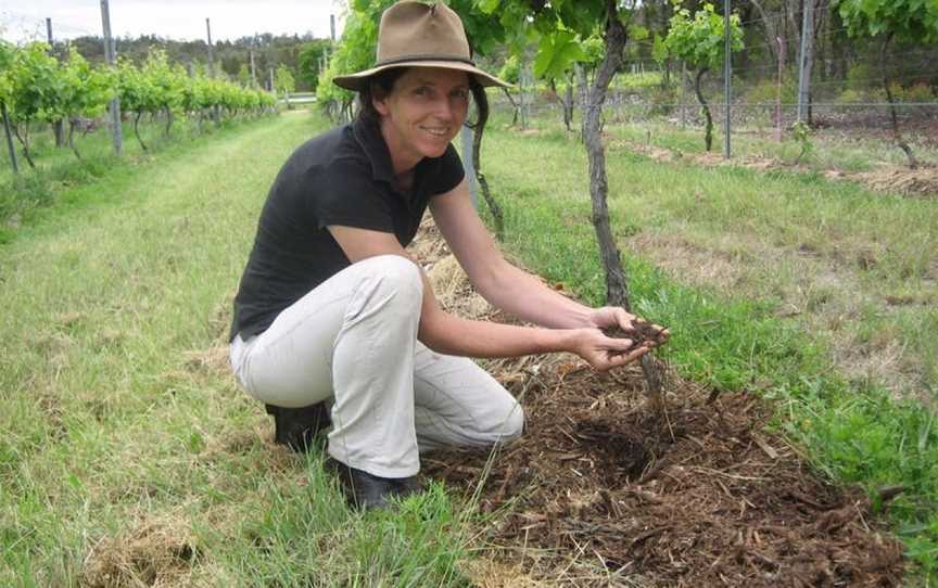 Twisted Gum Wines, Wineries in Ballandean