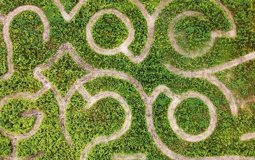 Bago Maze and Wine, Wauchope, New South Wales