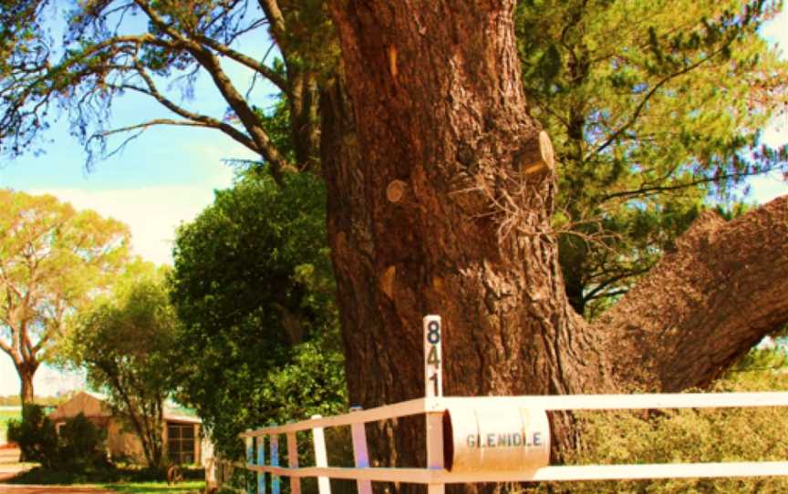 Byrne Farm, Nashdale, New South Wales