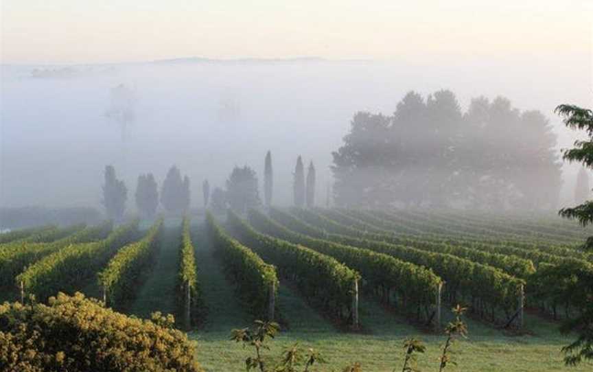 Cherry Tree Hill, Wineries in Sutton Forest