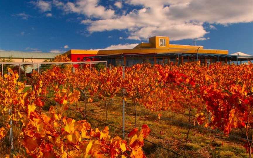 Contentious Character, Wineries in Wamboin