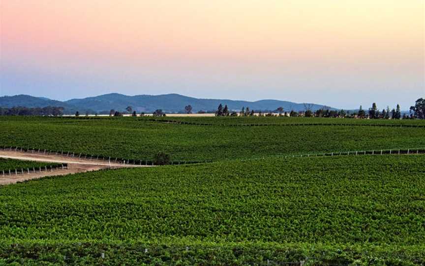 Cumulus Vineyards, Molong, New South Wales