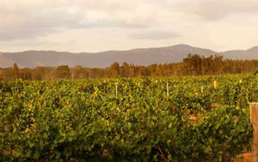 De Bortoli (Riverina), Bilbul, New South Wales