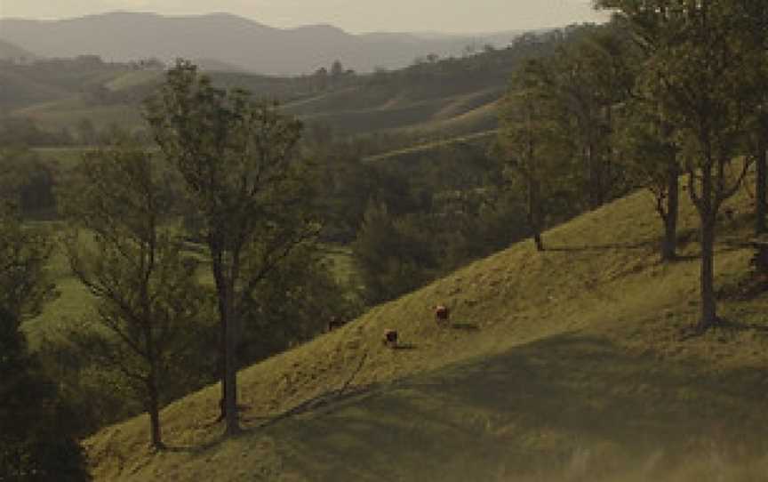 Faulls Ridge Winery, Gloucester, New South Wales