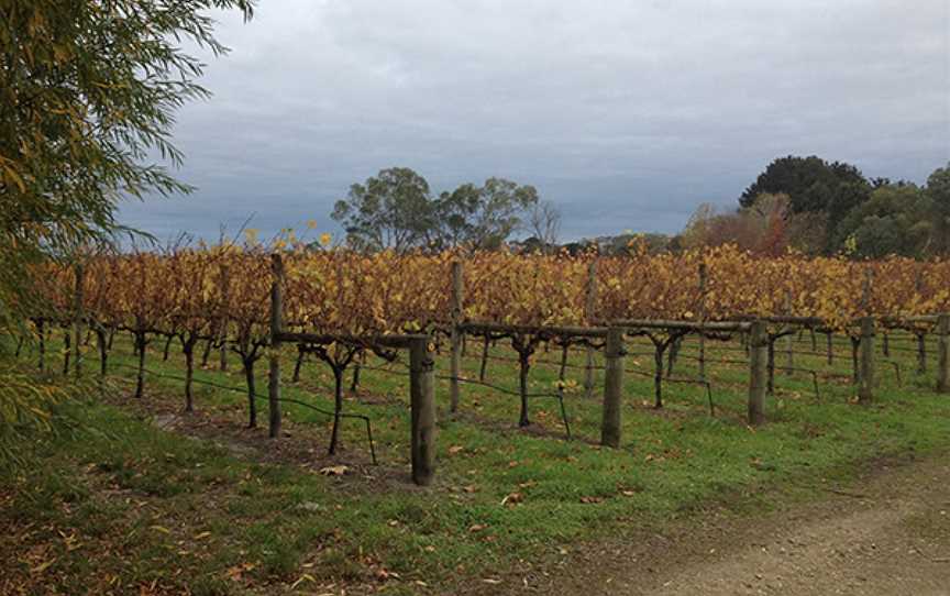 Hentyfarm Wines, Holgate, New South Wales