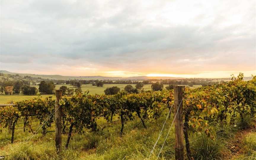 Hollydene Estate, Jerrys Plains, New South Wales