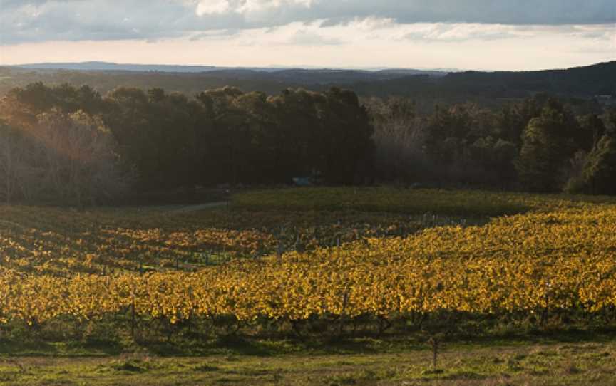 Lark Hill, Bungendore, New South Wales