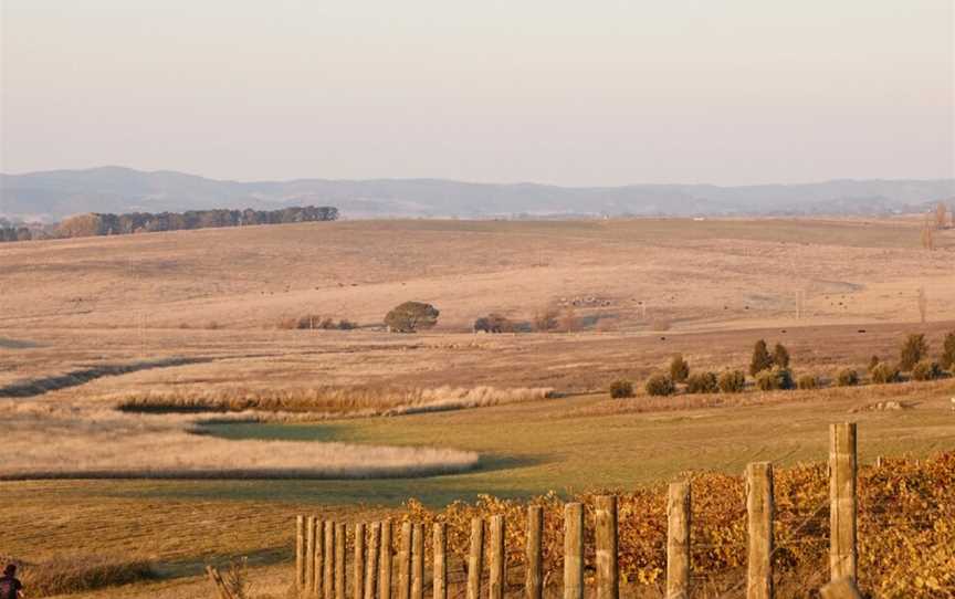 Mallaluka Wines, Yass, New South Wales