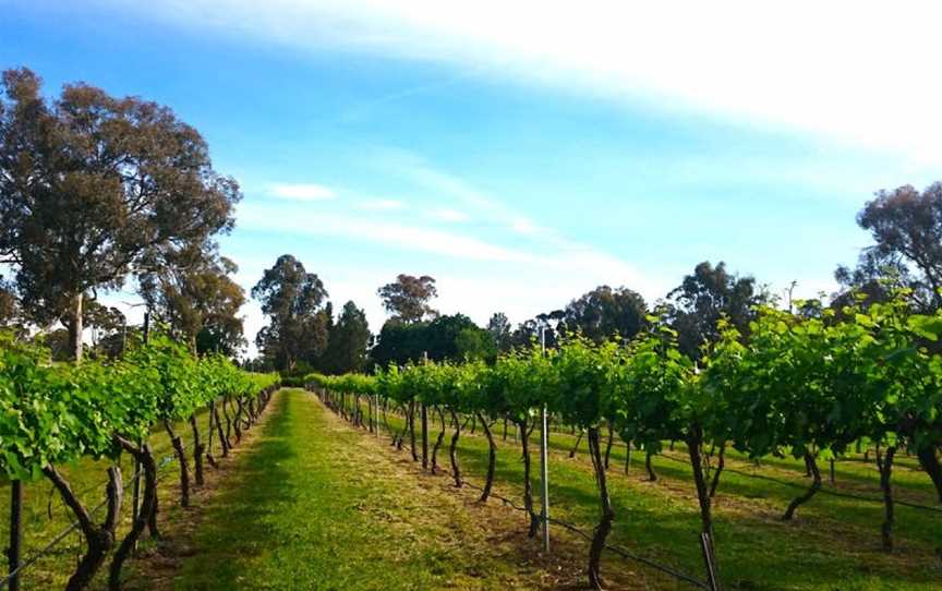 Murrumbateman Winery, Murrumbateman, New South Wales