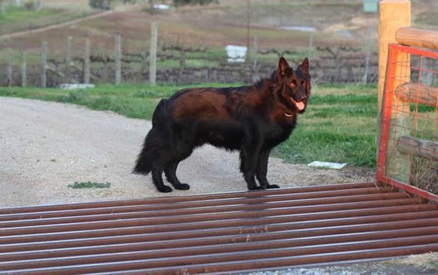 Naked Lady Wines, Rylstone, New South Wales