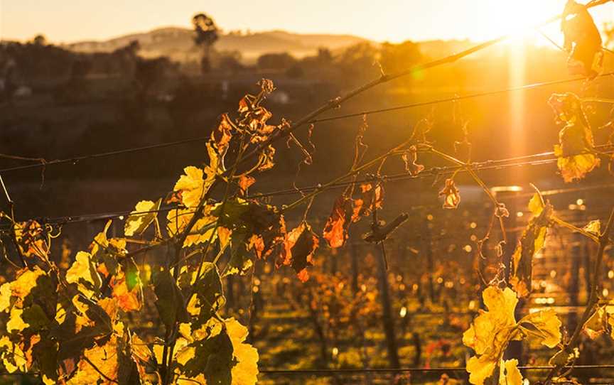 Nick O'Leary Wines, Wallaroo, New South Wales