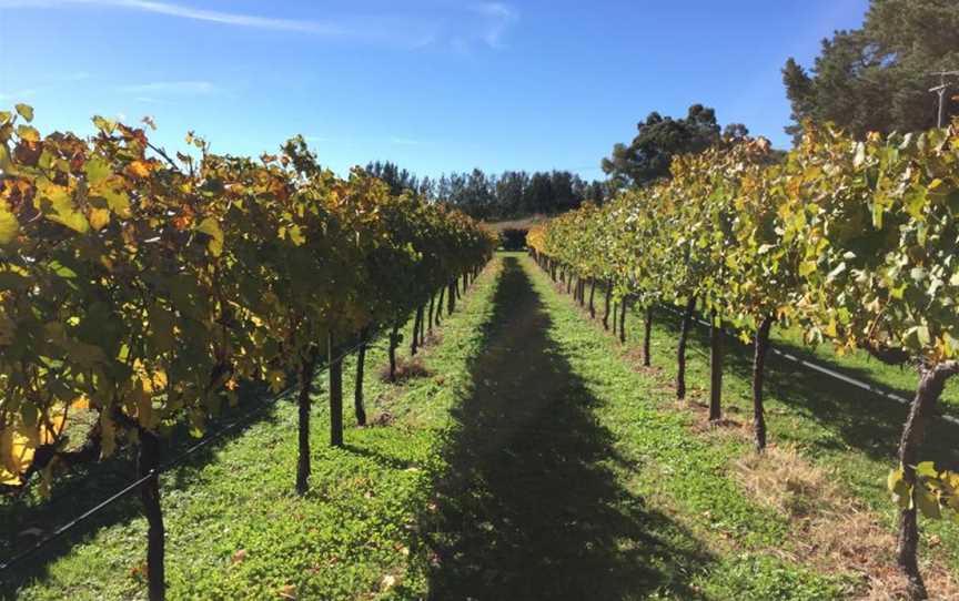 Orange Mountain Wines, Orange, New South Wales