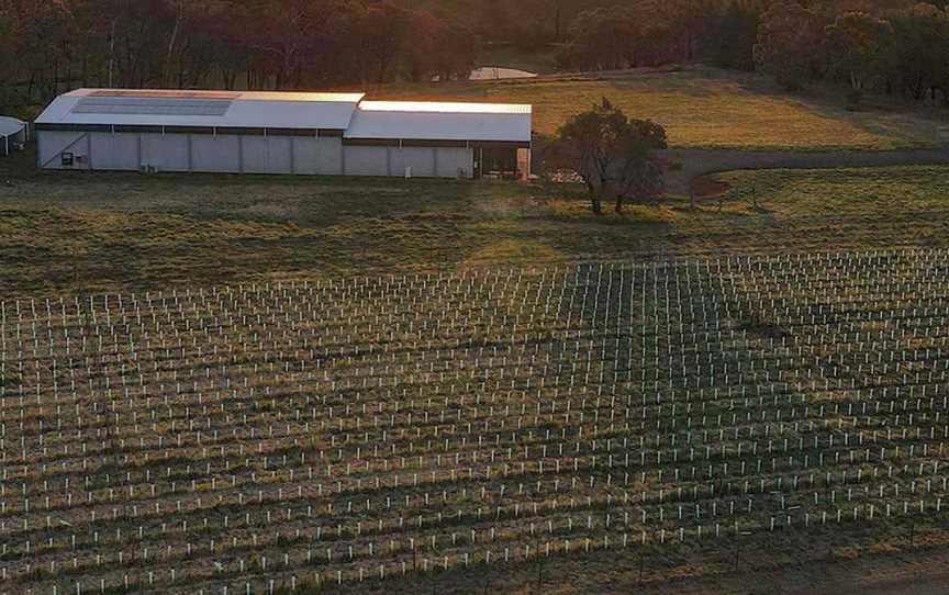 RIKARD Wines, Nashdale, New South Wales