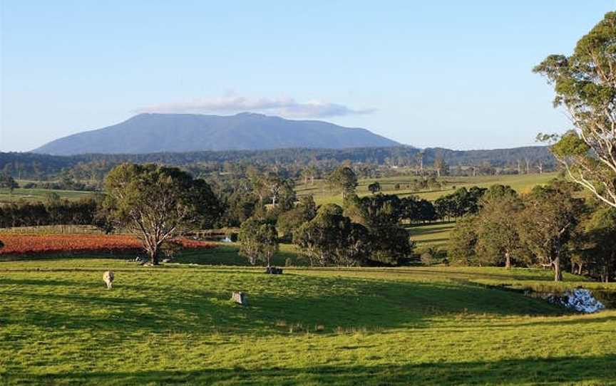 Rusty Fig Wines, Coolagolite, New South Wales