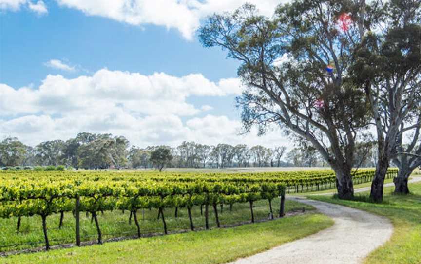 Sans Pareil Estate, Wineries in Griffith