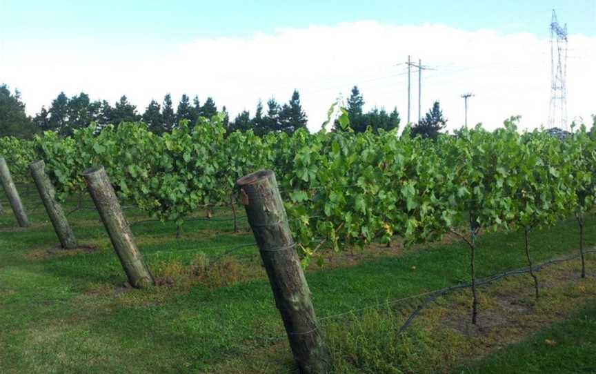 Sutton Forest Estate Wines, Sutton Forest, New South Wales