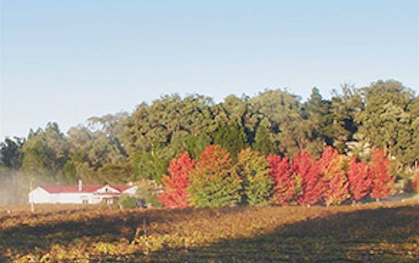 Boireann, Wineries in The Summit