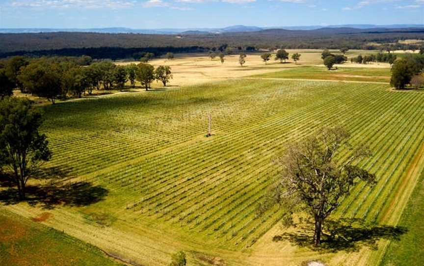 Topper's Mountain Wines, Wineries in Tingha