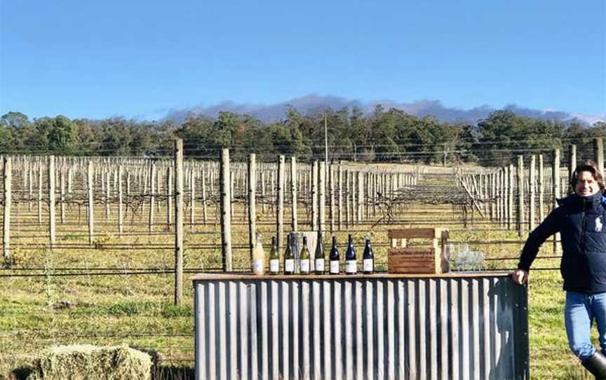 Tractorless Vineyard, Braemar, New South Wales