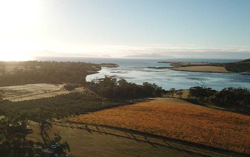 Boomer Creek Vineyard & Cellar Door, Little Swanport, Tasmania