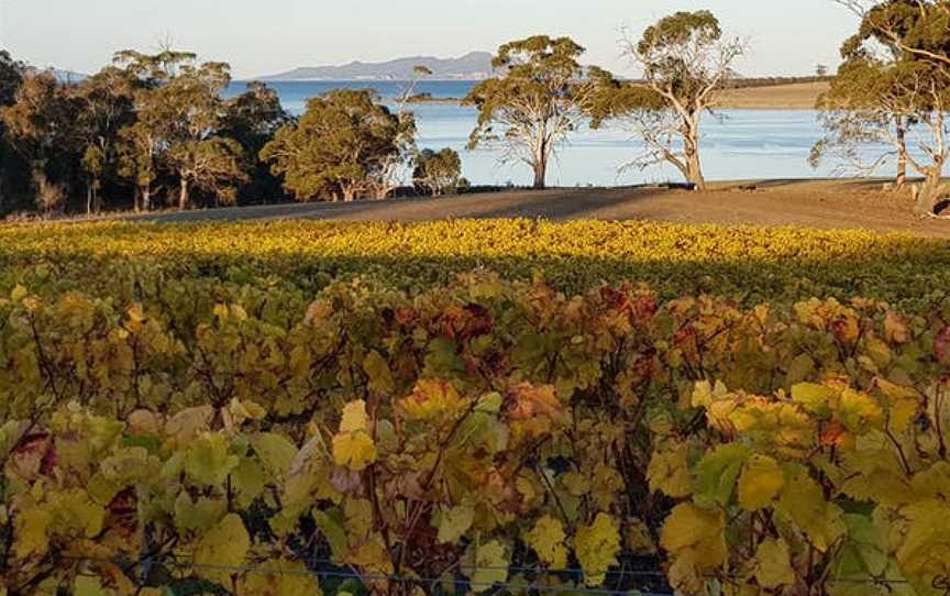 Boomer Creek Vineyard & Cellar Door, Little Swanport, Tasmania