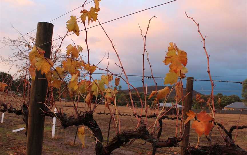 Meehan Vineyard, Wineries in Heathcote