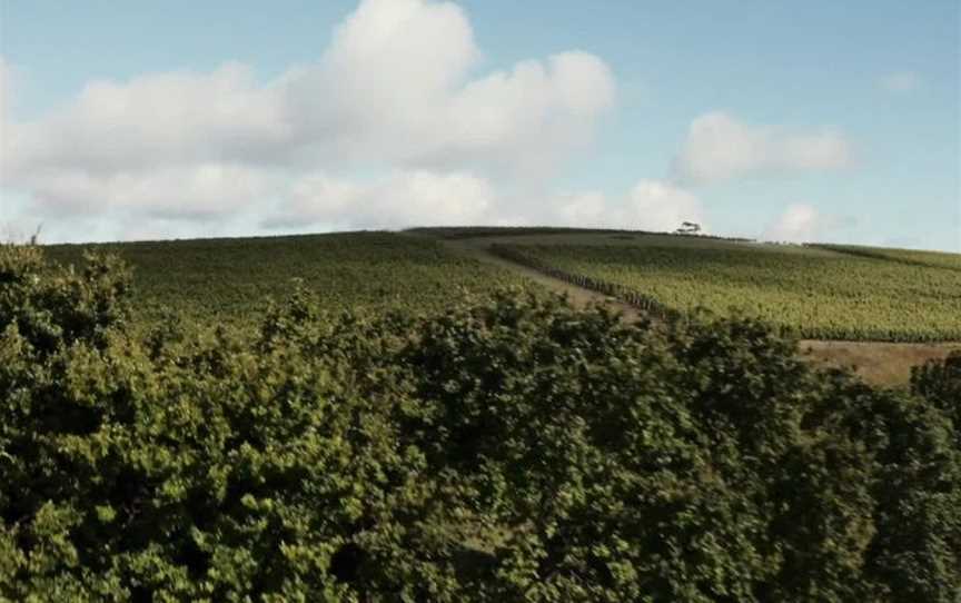 Delamere Vineyards, Pipers Brook, Tasmania