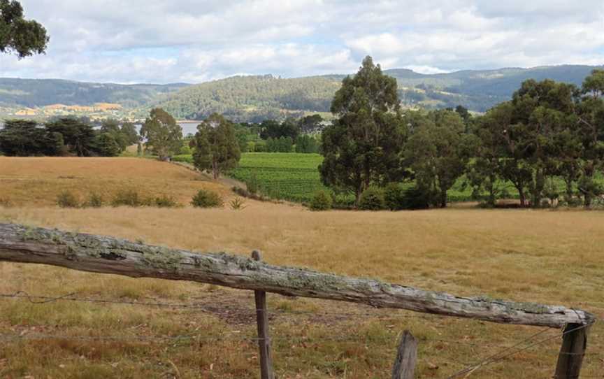 Elsewhere Vineyard, Wineries in Glaziers Bay