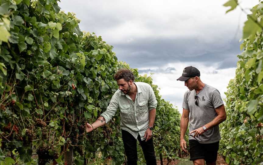 Ghost Rock Vineyard, Northdown, Tasmania