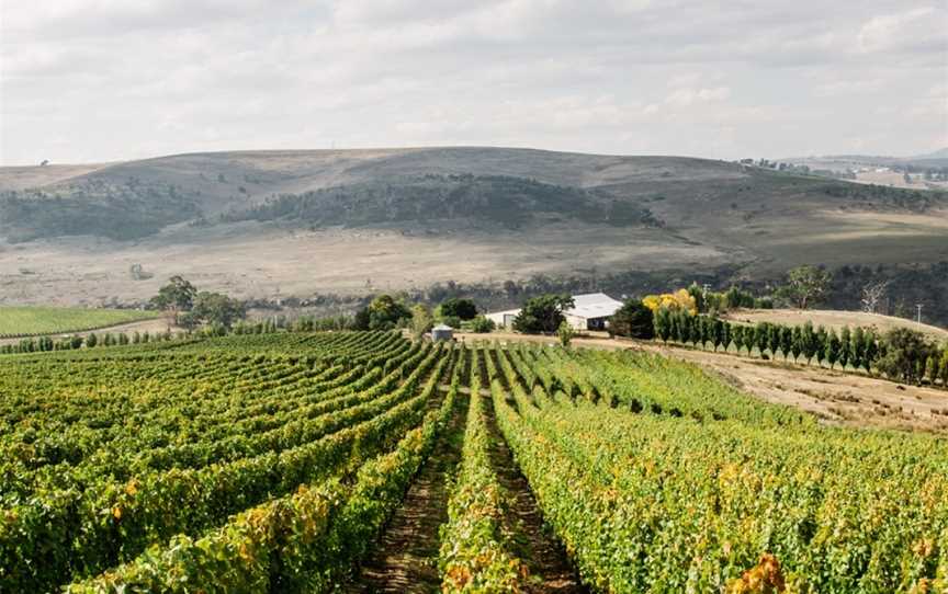 Glaetzer-Dixon Family Winemakers, Wineries in Hobart