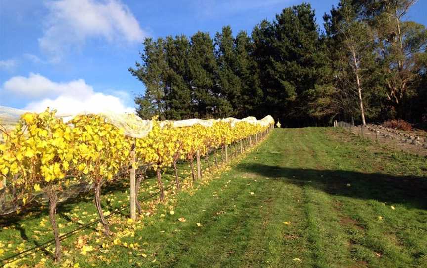 Leven Valley Vineyard, Gunns Plains, Tasmania