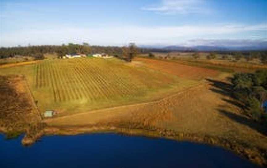 Priory Ridge Vineyard and  Cellar Door, Wineries in St Helens