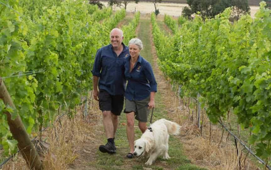 Wobbly Boot Vineyard, Wineries in Campania