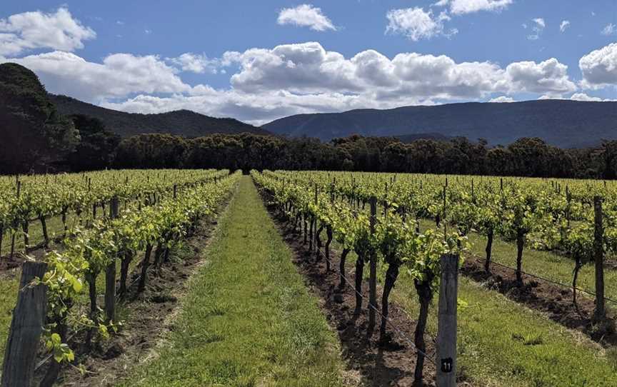 Fallen Giants, Wineries in Halls Gap