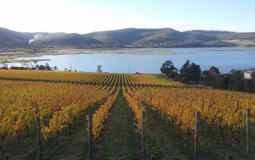 Derwent Estate, Wineries in Granton