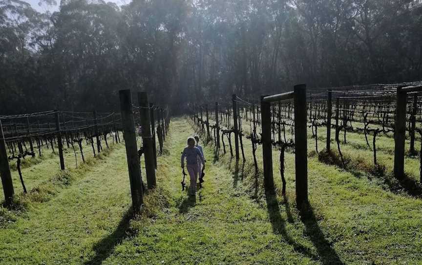 Bull Ridge Estate Wines, Wineries in East Kurrajong