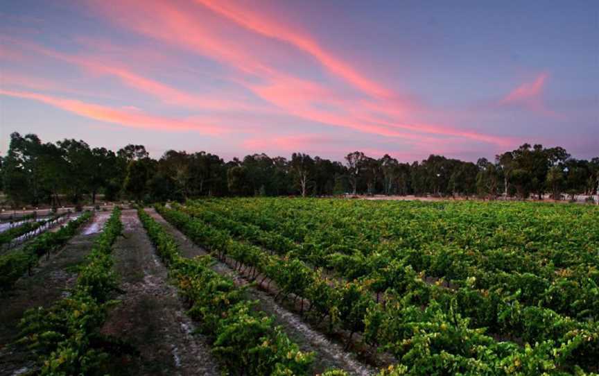 Amherst Winery, Wineries in Amherst