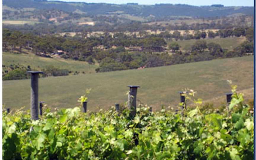 Carrickalinga Creek Vineyard, Wineries in Normanville