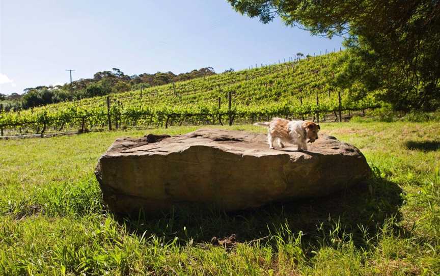 Bendbrook Wines, Wineries in Macclesfield