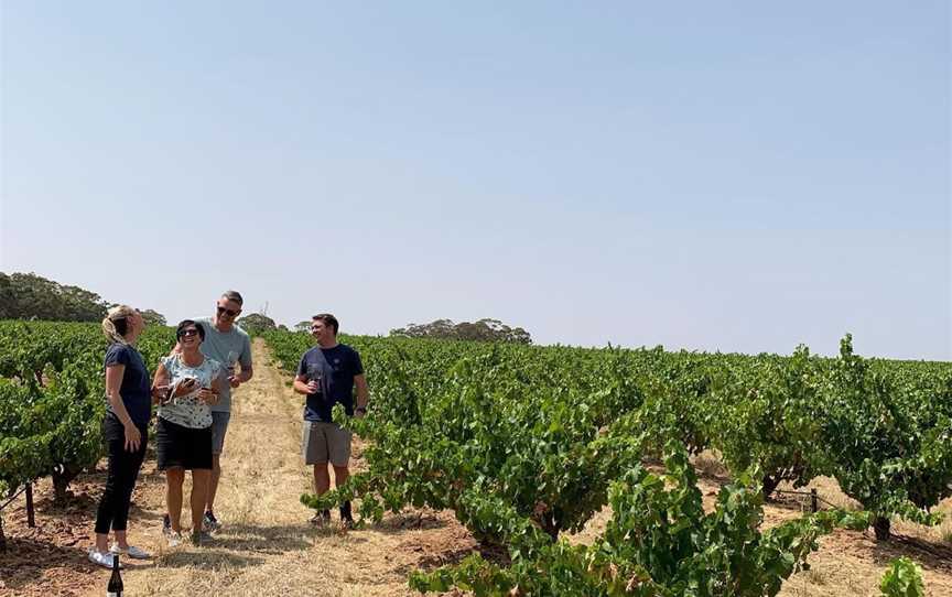 Barossa Boy Wines, Wineries in Tanunda