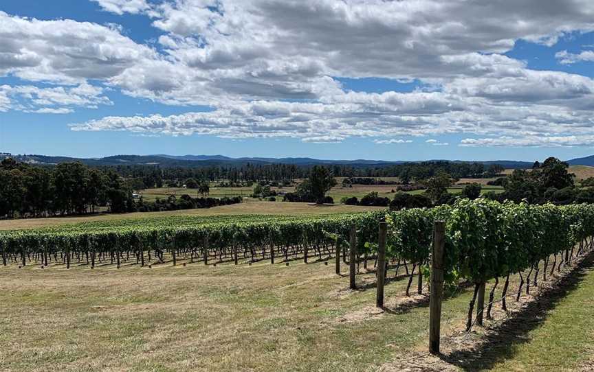 Small Island Wines, Wineries in Hobart