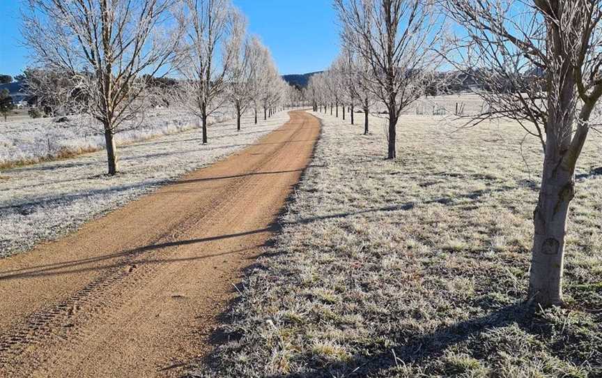 Elephant Mountain Wines, Wineries in Buckaroo